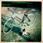 Old fashioned bike and handbag on the sand