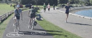 South false creek seawall improvements charleson park separated bike path